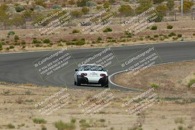 media/May-03-2025-Lucky Dog Racing (Sat) [[206de64b9d]]/Turn 2 (1020am-1120am)/